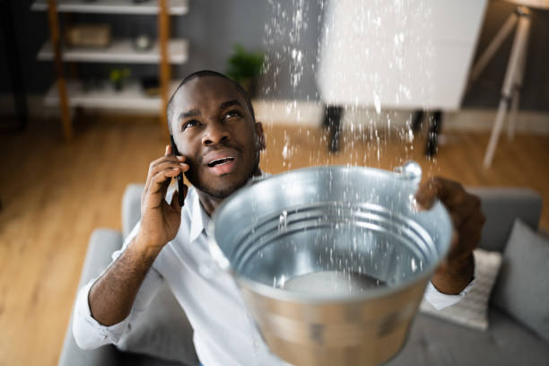 Best Professional water damage repair  in Gatlinburg, TN