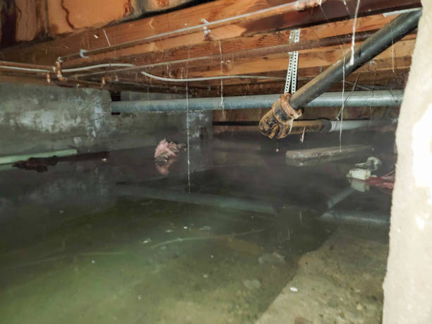 Gatlinburg, TN Water damage restoration Company