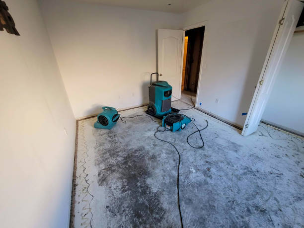 Best Emergency water damage restoration  in Gatlinburg, TN