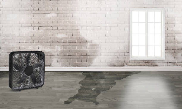 Water damage restoration insurance claims in Gatlinburg, TN