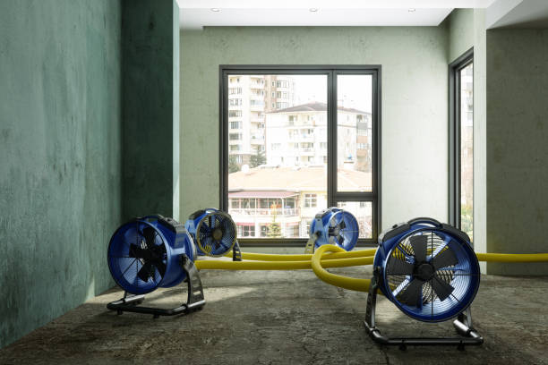 Best Sewage cleanup and water damage restoration  in Gatlinburg, TN